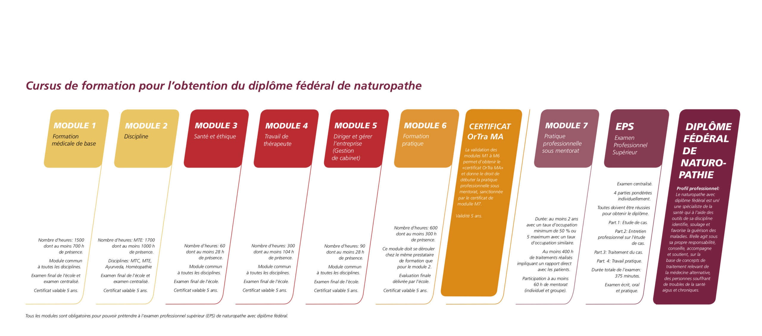 cursus de formation