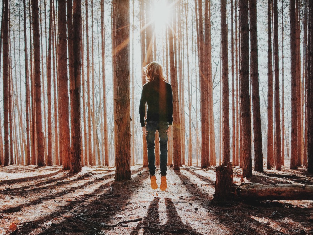 revitalisation en foret