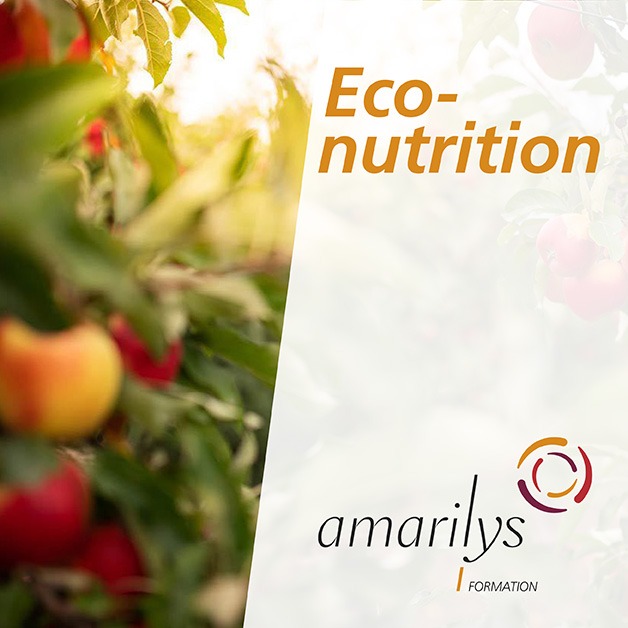econutrition