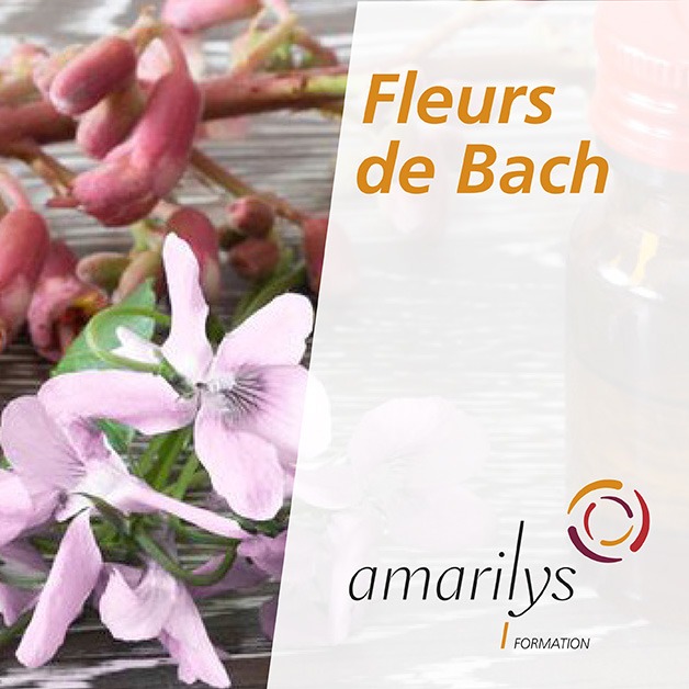 Fleurs de bach