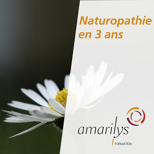 naturopathie en 3 ans