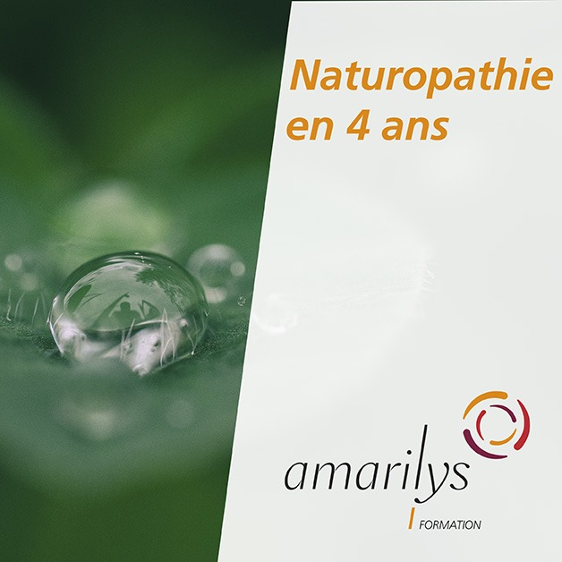 naturopathie en 4 ans