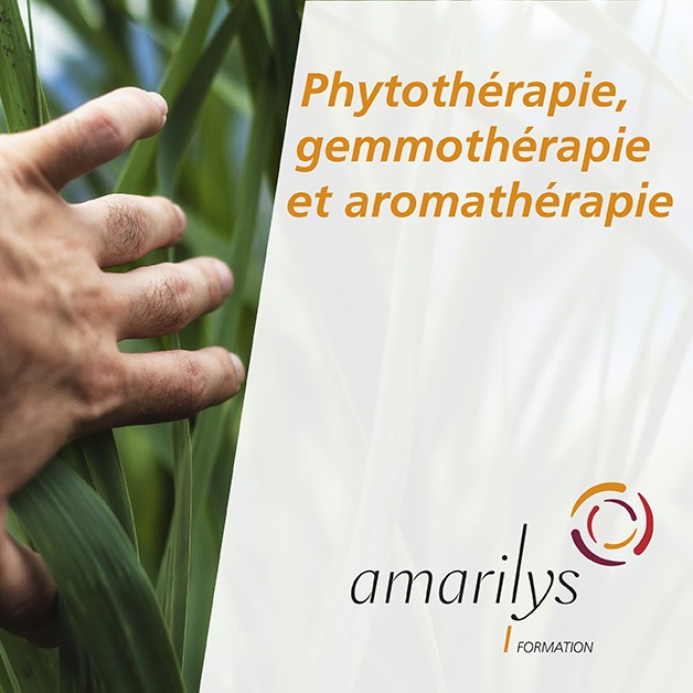 phytothérapie