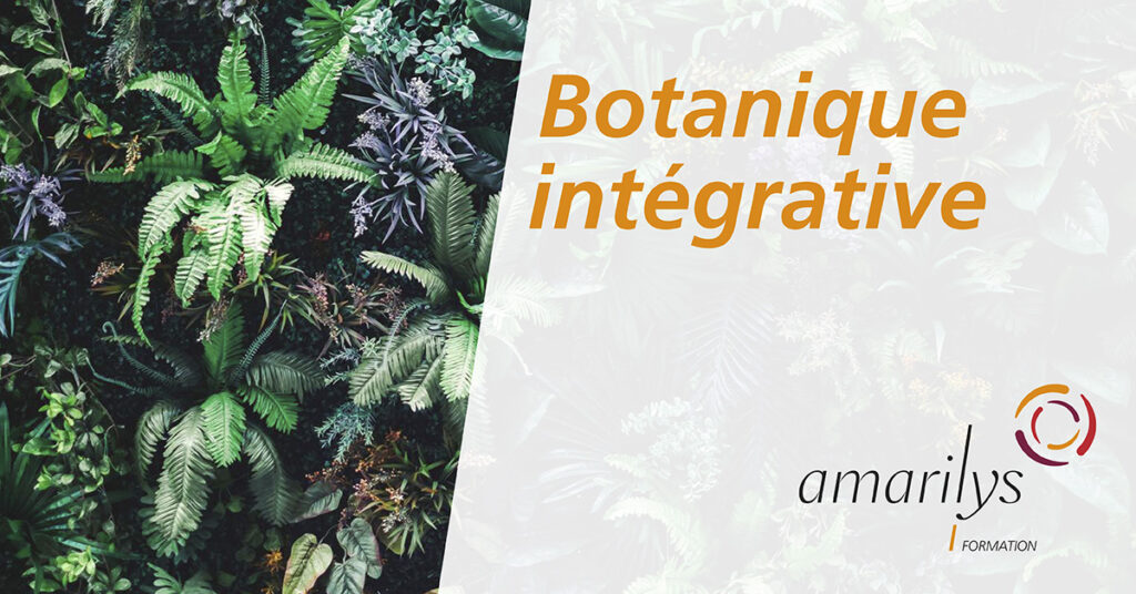 botanique intégrative