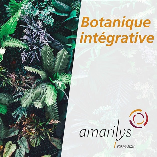 botanique intégrative