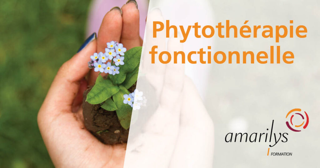 phytotherapie fonctionnelle