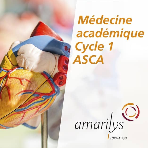 médecine académique cycle 1
