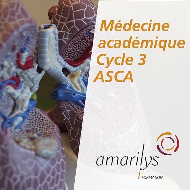 médecine académique cycle 3