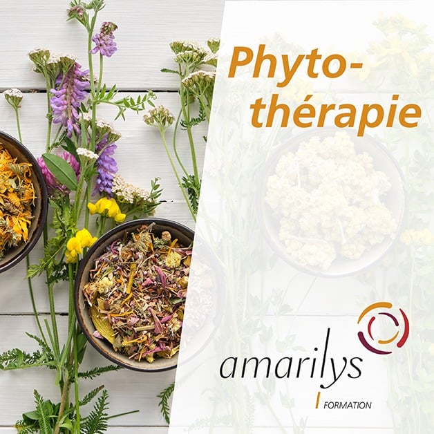 phytothérapie