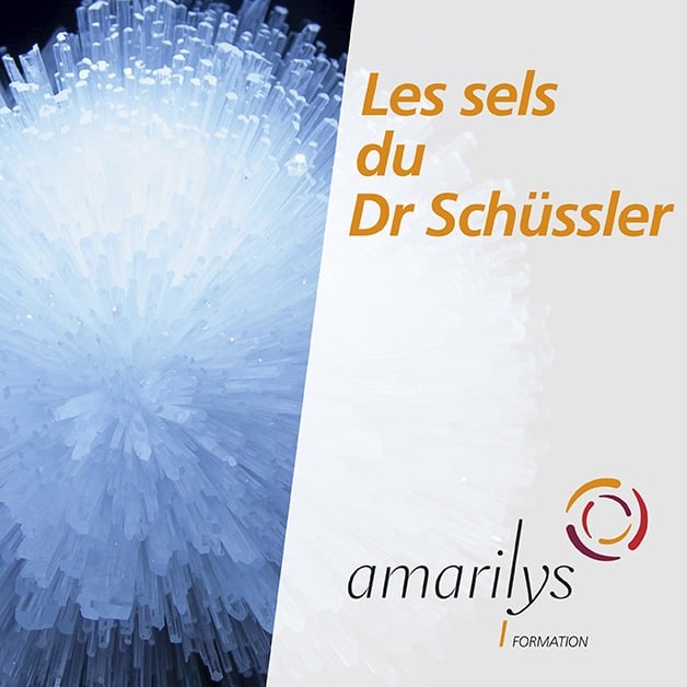 sels schussler