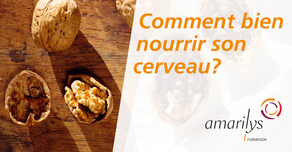 comment nourrir son cerveau
