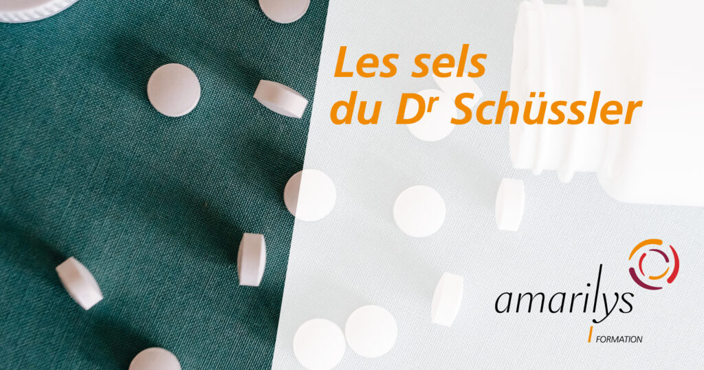 les sels du dr schussler