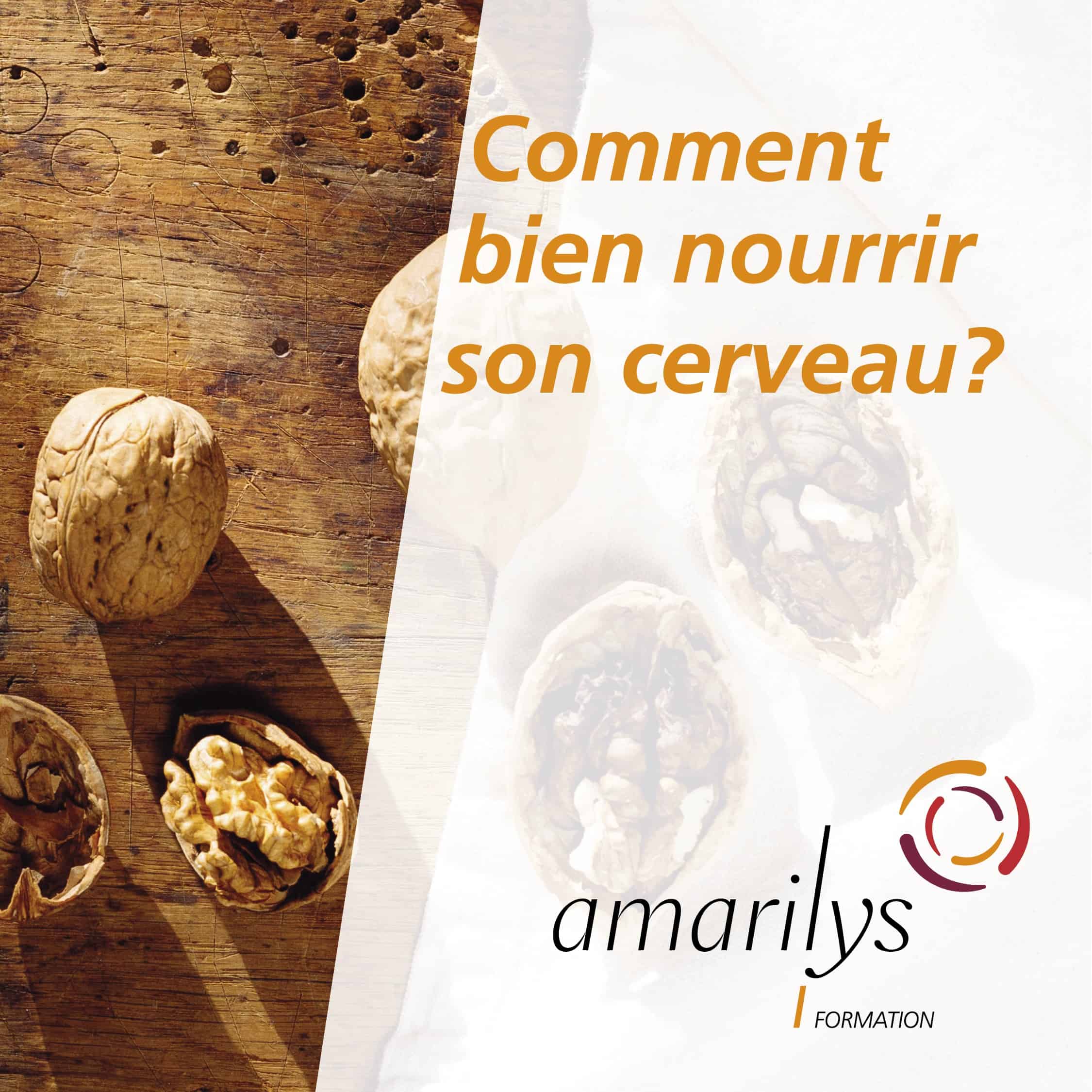 Comment bien nourrir son cerveau