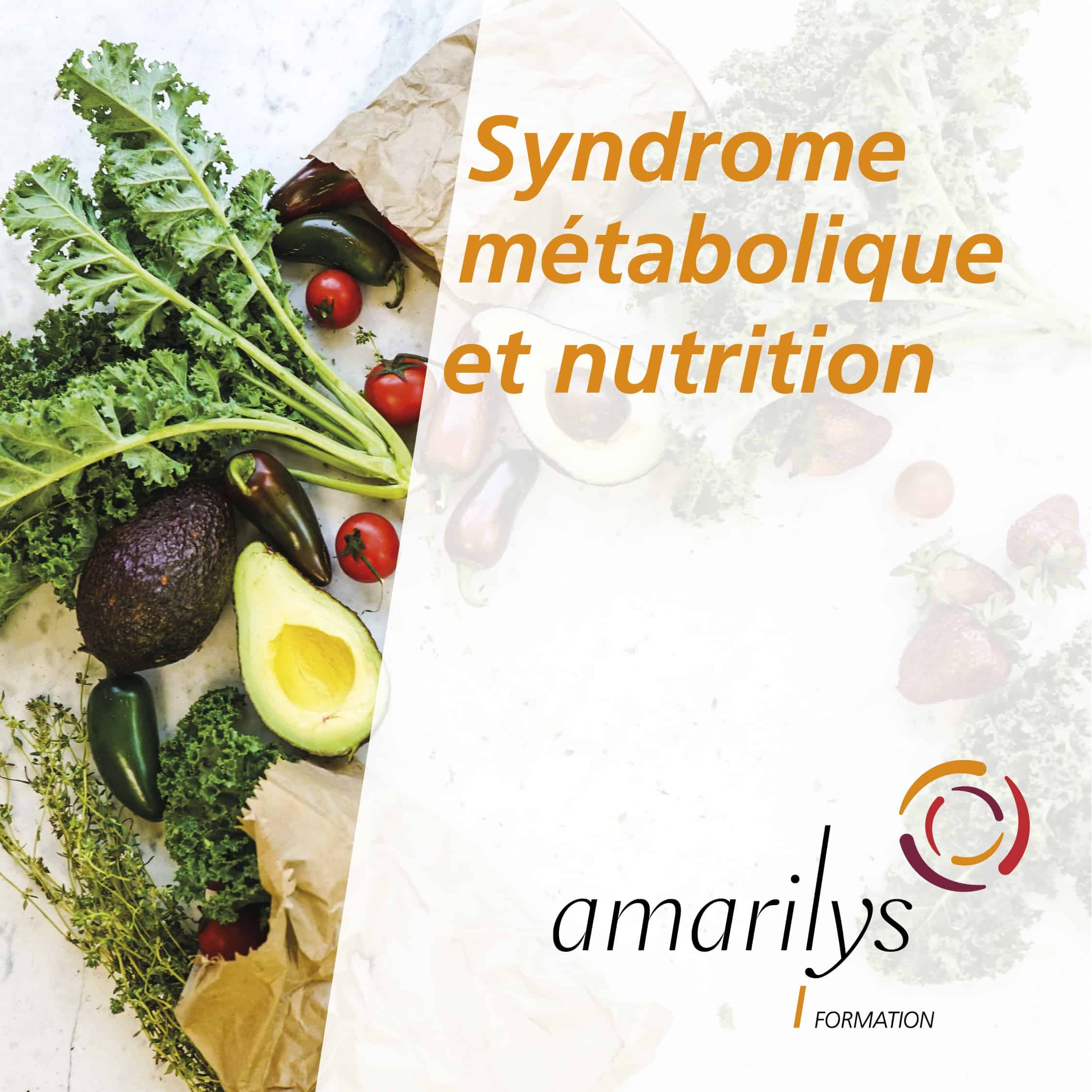 syndrome métabolique et nutrition