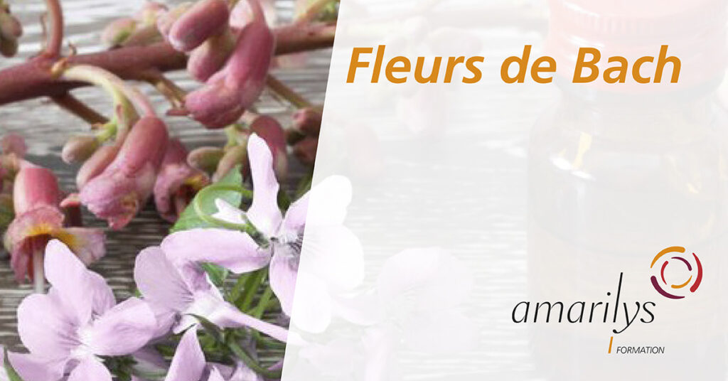 fleur de bachs