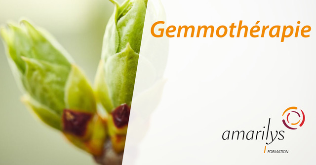 gemmothérapie