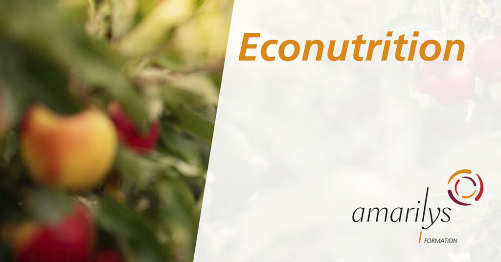 formation en éconutrition