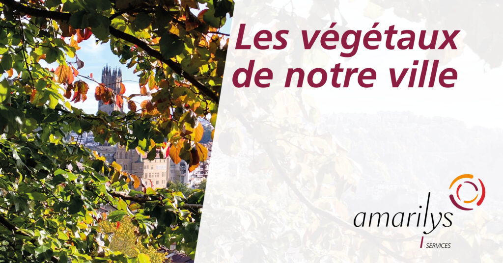 Les végétaux de notre ville