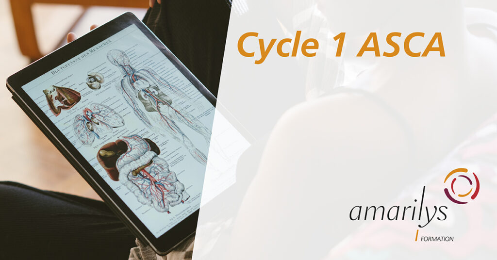 Cycle 1 ASCA
