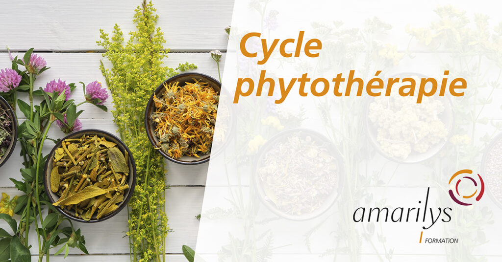 cycle phytothérapie