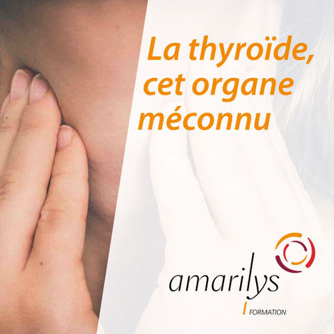 la thyroïde organe méconu